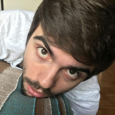 Idiozia portami via!