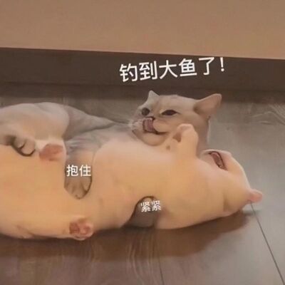 本来想遛鱼，结果让鱼遛了