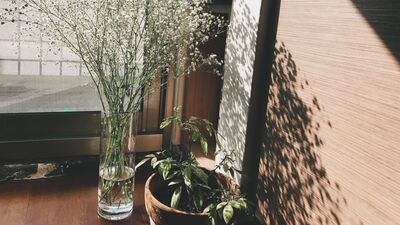 060. 菜鸟主妇（放弃）成长日记 | 开小差