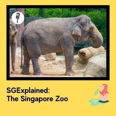 The Singapore Zoo
