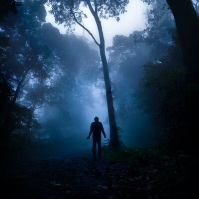 源界1记忆之探S03E10