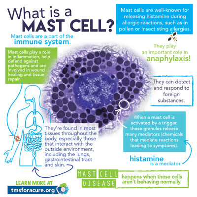Mast Cell Disease, Allergies, Fatigue, Pain, Unexplained Symptoms...Medical Discussion