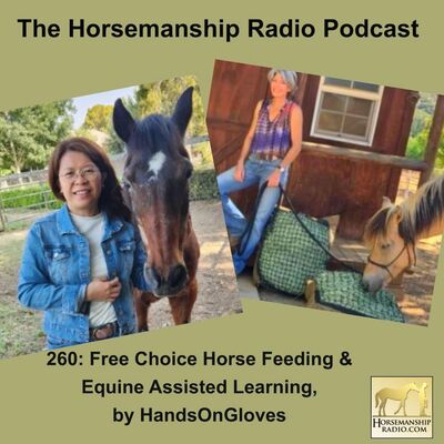 260: Free Choice Horse Feeding & Equine Assisted Learning, by HandsOnGloves