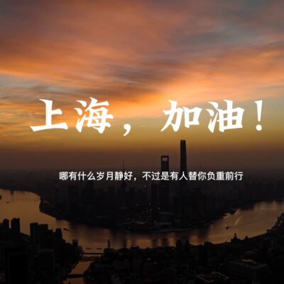 №17 上海疫情启示录