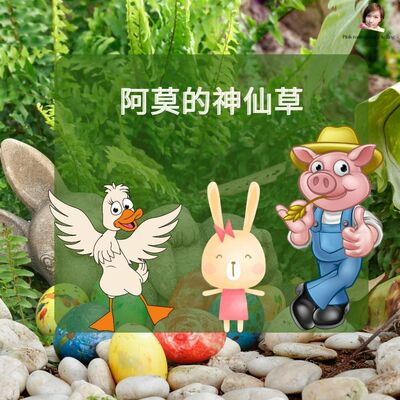 EP37阿莫的神仙草