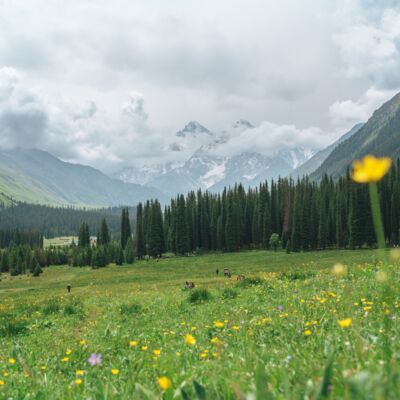 125.穿过伊昭公路来到夏塔，满心期待却遇上坏天气