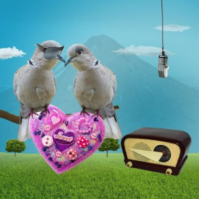 Tórtolos: los amorcitos