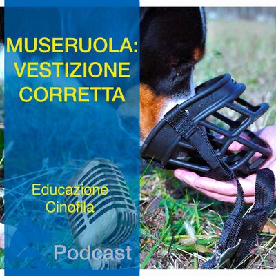 Come Indossare Correttamente la Museruola