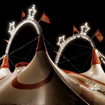 Le cirque