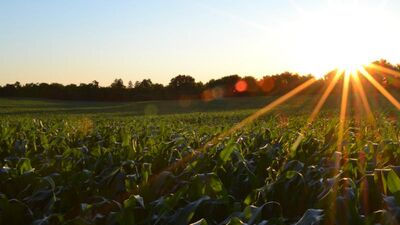 The Gospel Promises True Prosperity