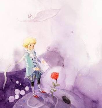 小王子•Part 12-13