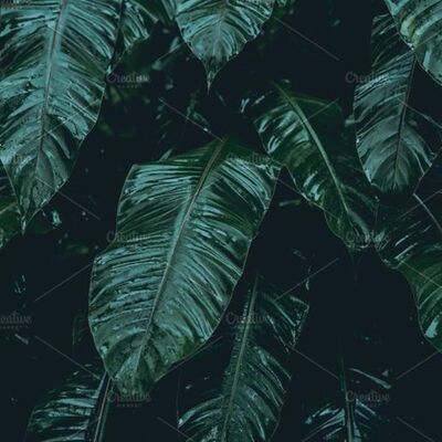 Tuan, Rumah dan Tamu @telusursejati