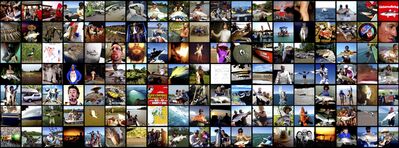 Tinny Podcast #792: 20K casts for a tag. TEBS winner shows himself. Big billfish weekend. And The Tinny calls time.