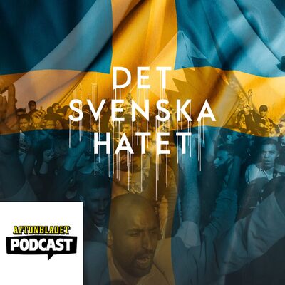 Del 31 Den arabiska våren – självmordet som blev en revolution