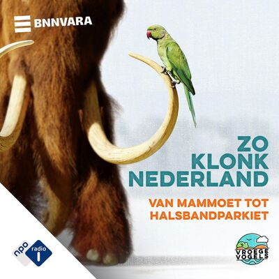 #8 - Zo klonk Nederland: oernatuur in een door mensen gedomineerd land (S05)