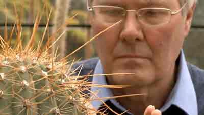 Cambridge Ideas - Don't Eat the Plants