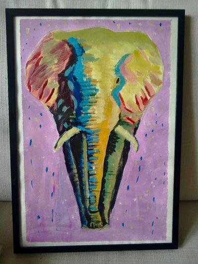 我的一头雌性大象朋友搬走了