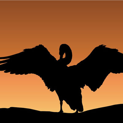 ThinkPod Ep-1 BlackSwan กับ Covid-19 การเงินกับวิกฤติหงส์ดำมีจริงหรือไม่