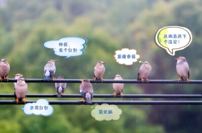 最会聊天的四个星座，信不信我可以把牛逼吹破？