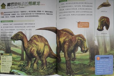 植食恐龙_38嘴巴像鸭子的鸭嘴龙