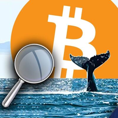 COME SPIARE i MOVIMENTI delle BALENE sul BITCOIN !!!