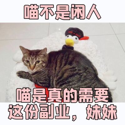 躺平时间 | 22：58，我用我残存的责任心打开了word文档