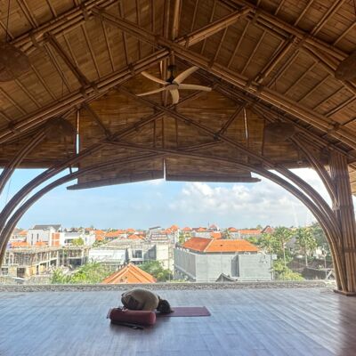 19. 旅修巴厘岛 疗愈 萨满和量子催眠