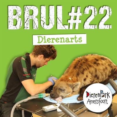 Dierenarts in een dierentuin: hoe maak je alle dieren beter? | BRUL #22