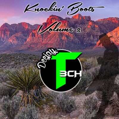 Knockin Boots Volume Two