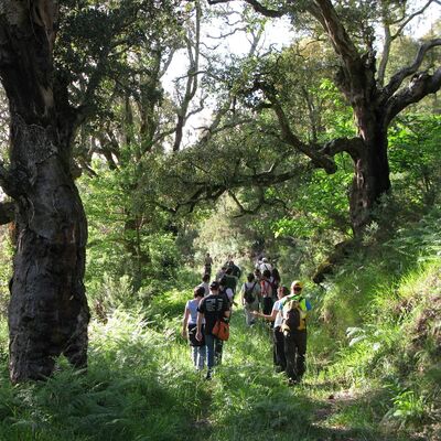 Reserva natural - Adega: 50 años de lucha ecologista - 29/05/25
