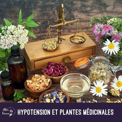Hypotension : Les Plantes Qui Peuvent Aider