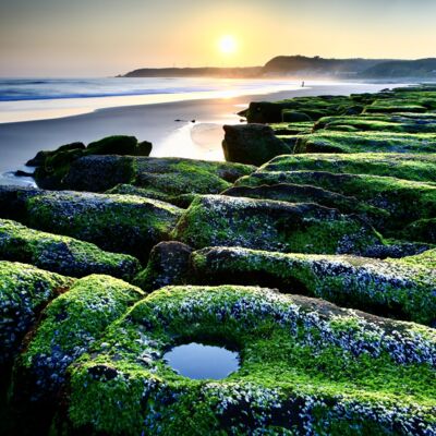 悟—宇宙實像(凡所有相皆是虛妄，若見諸相非相即見如來)