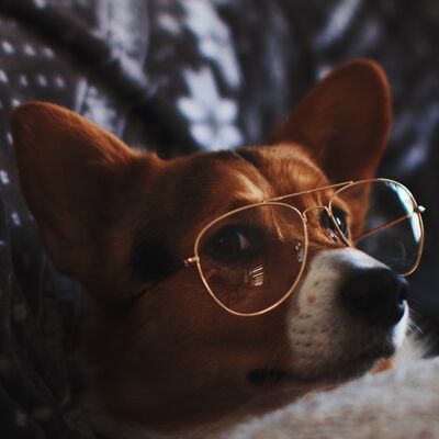 Lo mejor de 2018 en el frontend y lo que nos espera en 2019