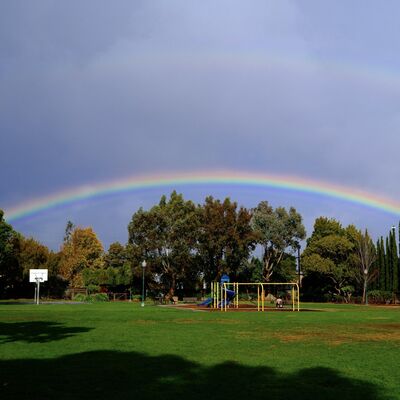  2024年那些难忘，心碎和对空气挥拳的时刻：与好朋友们的新年聊天 