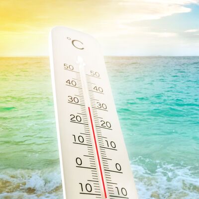 Planeta vivo - Más calor, menos pesca - 26/03/2025