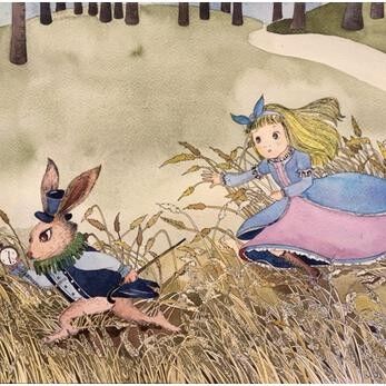 红球城的小秘密