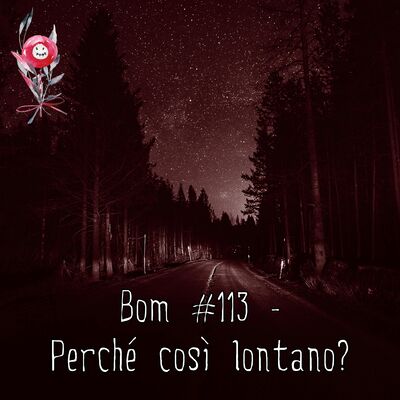 #113 - Perché così lontano?