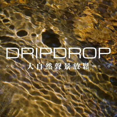 EP16 | 讓人流連忘返的森林交響樂團。