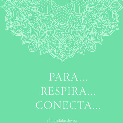 MEDITACIÓN BREVE GUIADA · "Para... Respira... Conecta..."