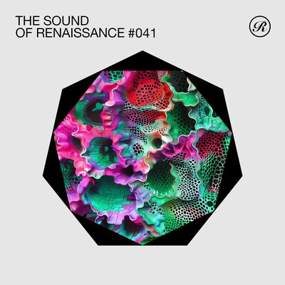 The Sound Of Renaissance 041