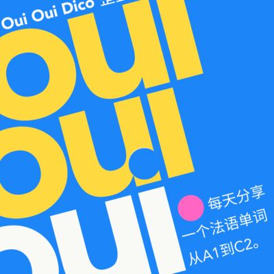 Oui Oui Dico是什么