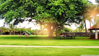 浑身和气 居身珍宝