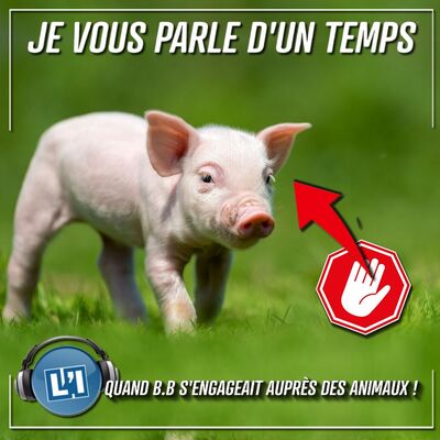 QUAND B.B. DISAIT STOP A SES PRATIQUES "BARBARES" !