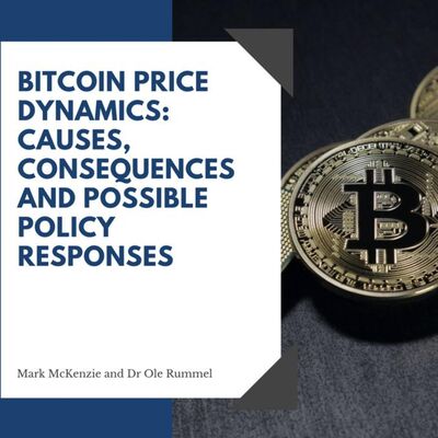 Bitcoin price dynamics: causes, consequences and possible policy responses