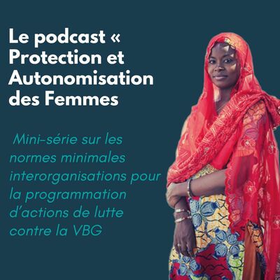 Mini-série sur les normes minimales pour la programmation d’actions de lutte contre la VBG: Norme 12