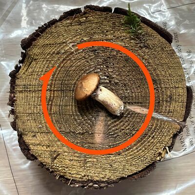 Vol.107 对话田螺：这年头，去哪里找一顿好饭呢