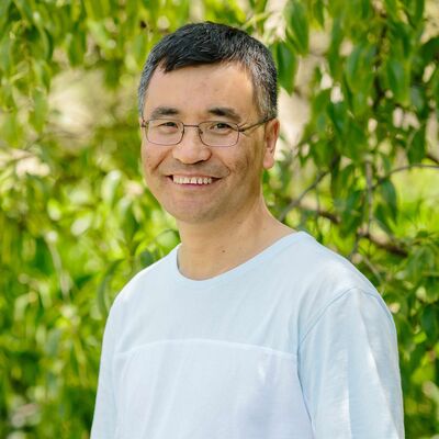 AHRI researchers discover that 2,4-D synergises metribuzin