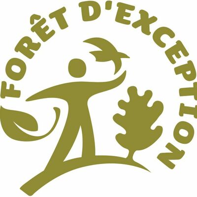 La protection des sites d'escalade en forêt de Fontainebleau (ONF)