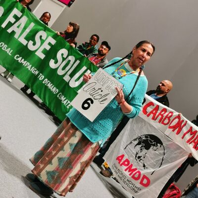 #2050*COP25 - Jour 3 - Les marchés carbone, au cœur des négociations