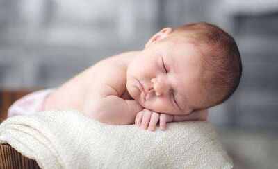 111 Oh Where, Oh Where Has My Little Dog Gone-